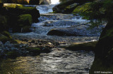 D2x2007-08-03_109.jpg