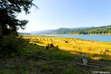 Lookout Point Lake