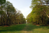 Avenue...