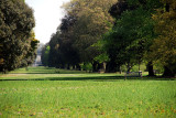 Syon Vista