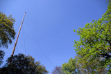 Flagpole III