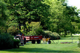Men (and women) at work