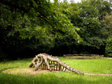 Dinochair...