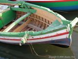 DSCN7516+1.jpg