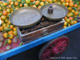 DSCN7639.jpg