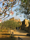 DSCN8284.jpg