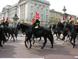 Horse Guard