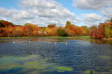 Autumn Afternoon