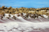 March Dune