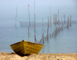 Fish Trap