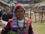 Llama Farmer