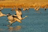 Group Takeoff 2