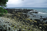 Black and White Stone Beach