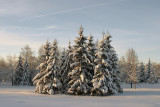 Minsk - Jan. 2004, Jun. 2004, Jan. 2006