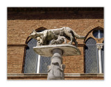 Siena / Piazza di Duomo