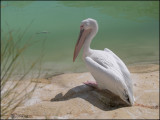 Parque Oceanografico