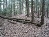 DSC02002.JPG