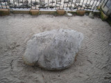 DSC02165.JPG