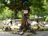 DSC02279.JPG