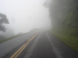 DSC02344.JPG
