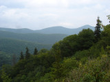 DSC02352.JPG