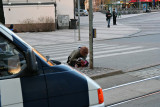IMG_2997.jpg