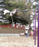 swinging2