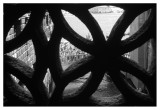 sforza