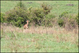 ChrisB_070612_20D_2134.jpg
