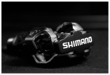 w2007-01-16-2557 Shimano.jpg