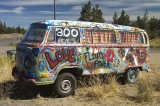 VW Flower Power