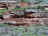 Panales en la roca