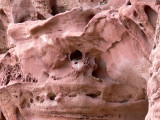 Detalle del terreno