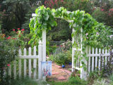 entrance of cottage garden in August 06