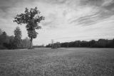 IMG_3369-01.jpg