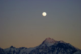 Winter Moon