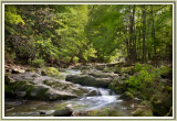 Murder Creek, Akron, NY