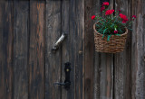 Basket of flowers