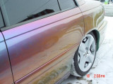 Painted, Slammed, and Shaved