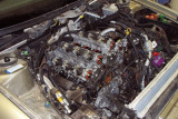DCP_0716.JPG