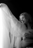 mo-wings01-web.jpg