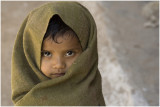 Indian Kutch-Gujarat