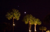 the moon and Venus over the palm trees