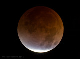Total Lunar Eclipse - Aug.28, 2007