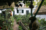 Santana,private garden