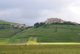 Castelluccio,Umbria