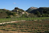 near Leonforte,Sicily