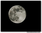 moon1682.jpg