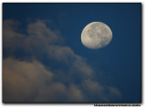 moon4596.jpg