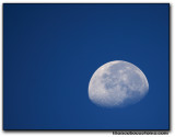 moon4675.jpg